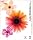 Adobe Illustrator CS2.0 ���{��� Windows��