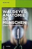 Anatomie des Menschen