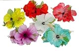 Produkt-Bild: Haarspange Hawaii-Bl&uuml;ten, farblich sortiert, 1 St.