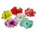 Haarspange Hawaii-Bl�ten, farblich sortiert, 1 St.