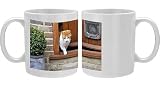 Photo Mug of JD-20762 CAT. walking out of back door from Ardea