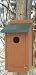 Go Green Bluebird House, 12