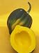 Winter Acorn Squash Photographic Poster Print by Wally Eberhart, 12x16