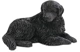 NEWFOUNDLAND Dog Black Lays down FIGURINE Resin 559