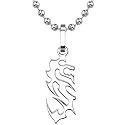 Oriental Charm: Designer Inspired Titanium Brushed Finish Dragon Pendant on a Stainless Steel Ball Chain