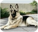 German Shepherd On Porch Dog Puppy Mouse Pad MousePad