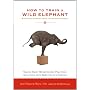 How to Train a Wild Elephant: And Other Adventures&hellip von Jan Chozen Bays MD