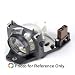 INFOCUS LP530 Projector Replacement Lamp with Housing