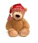 2009 Amazon Exclusive Limited Edition Tan Bear by Gund