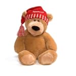 2009 Amazon Exclusive Limited Edition Tan Bear by Gund
