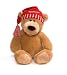 Amazon Exclusive Limited Edition Tan Bear by Gund