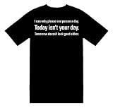 Funny T-Shirts (I Can Only Please One Person A Day. Today Isnt Your Day. Tomorrow Doesnt Look Good Either) Humorous Slogans Comical Sayings Shirt; Great Gift Ideas for Adults, Men, Boys, Youth, & Teens, Collectible Novelty Shirts