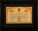 Framed Stan Lee Media Stock Certificate