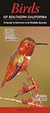 Birds of Southern California: A Guide to Common and Notable Species (Quick Reference Guides)