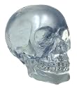 Crystal Clear Translucent Human Skull Figure Statue