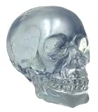 Crystal Clear Translucent Human Skull Figure Statue
