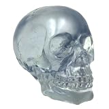 Crystal Clear Translucent Human Skull Figure Statue