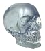 Crystal Clear Translucent Human Skull Figure Statue