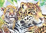 Royal & Langnickel Mini Colour Pencil By Number Kit: 5x7 Jaguar Family