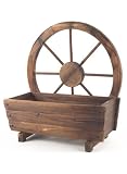 Review WATSONS  / Wooden Cartwheel Garden Planter