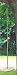 Garden Toys - Wooden Monkey Single Rope Swing