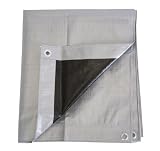 Koch T542273 PE Tarp, 6 by 8 Feet, Silver/Black Reversible