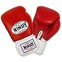 Windy Training Gloves