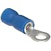 Morris Products 10034 Ring Terminal, Vinyl Insulated, Blue, 16-14 Wire Size, #8 Stud Size (Pack of 100)