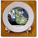 Londons Times Funny Animals Cartoons - Possum Police Protocol - Plates