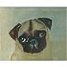 25 Pack Pug Note Cards by Dick Larsen