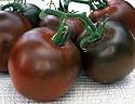 Black Russian Tomato 30 Seeds - Heirloom