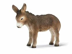 Donkey Foal