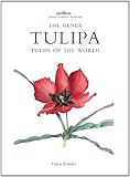 The genus tulipa : tulips of the world