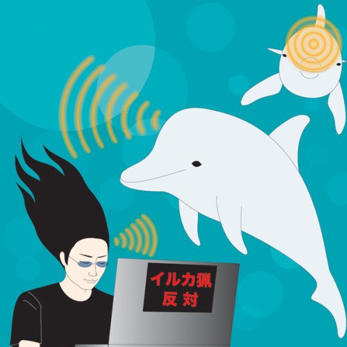 CD-Charts  Music : Dolphin Sonar