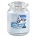 Yankee Candle® Home Classics Jar Candle - Coastal Breeze (22 oz)
