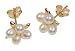 9ct Yellow Gold Cultured Pearl Earring cluster studs