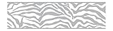York Wallcoverings JE3673BSMP Friends Forever Girly Glam Zebra 8-Inch x 10-Inch Wallpaper Border Mem