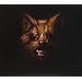 The Seer (Special Ltd �dition)