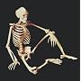 National Teaching Aids T-019 Skeleton Model