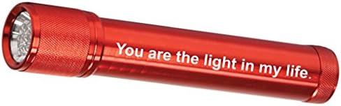 Aluminum 7-LED Flashlight 7-3/4" Engraved "You are the light in my life" Good for Car, Purse,Camping, Hiking, Hunting, Backpacking, Fishing and BBQ (Red)