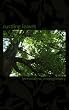 Rustling Leaves