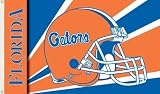 NCAA Florida Gators Helmet Design 3' X 5' Flag with Grommets