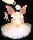pink fairy costumes