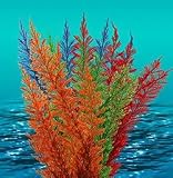 Natures Image Aqua Fern Rainbow Color Medium 6 in Aquarium Plant