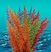 Pet Supplies : Natures Image Aqua Fern Rainbow Color Medium 6 in Aquarium Plant