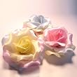 Gift Box of Multi Color Pastel Pink, Yellow & Blue Rose Hair Clip & Pin Combo Backings