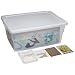 American Educational Seed Germination Classroom (Pack of 30)