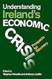 Understanding Ireland's economic crisis : prospects for recovery