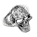 Omega Skull - Alchemy Gothic Pewter Ring