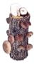 9-10" Shiitake Mushroom Log